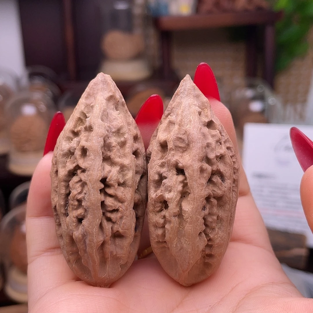 文玩核桃吊坠黑龙柳叶