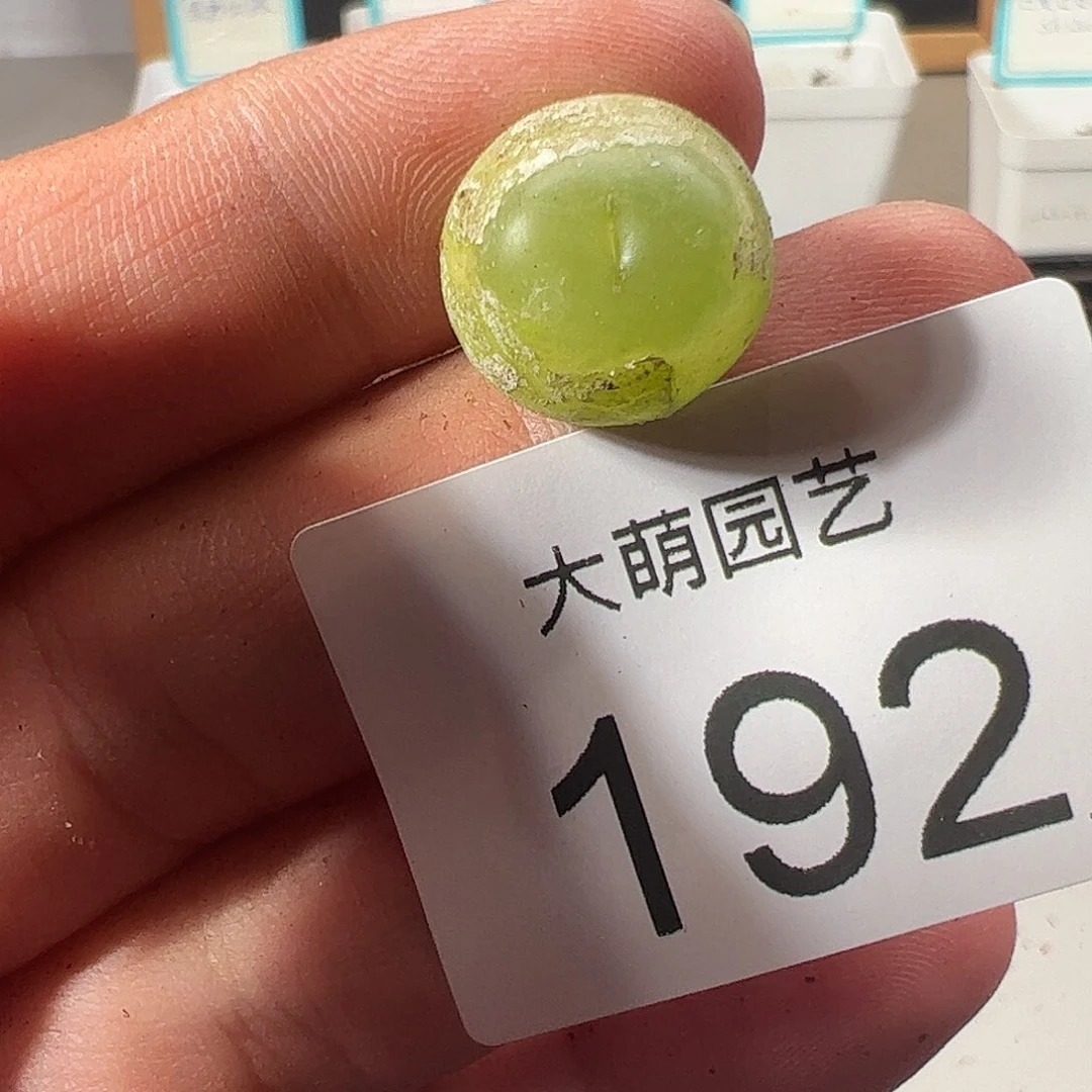 0000192 一物一拍……