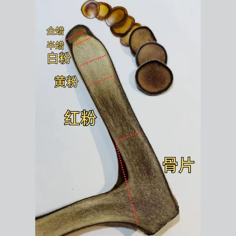 红参【鹿茸片】梅花鹿半蜡片红粉片东北鹿乡双阳镇梅花鹿半蜡红粉片