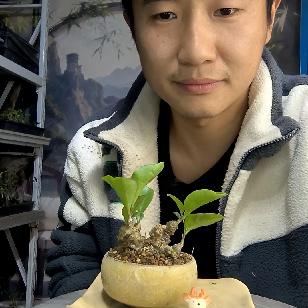 荣*?中青园艺一物一拍86