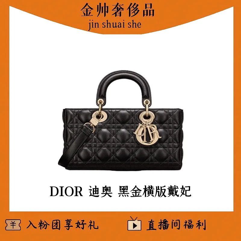 99新 DIOR/迪奥  黑金/横版/戴妃/单肩包/B3644