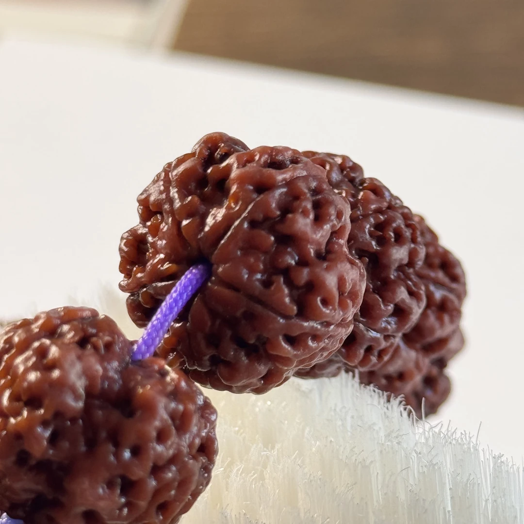 【古语梅花】（下水泡红图）矮桩飞碟粗筋毕业大金刚菩提