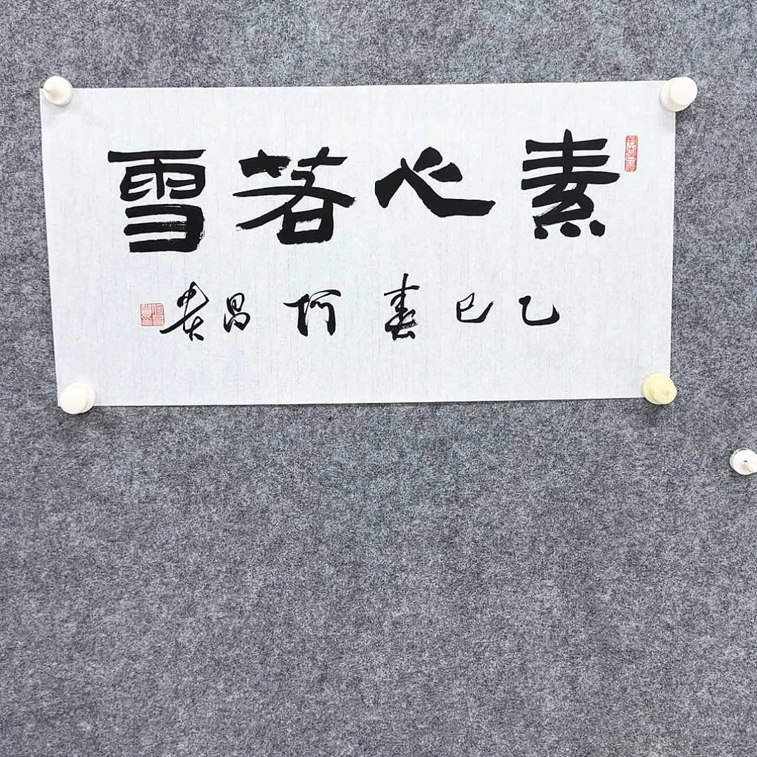 国画大写意就是我想看