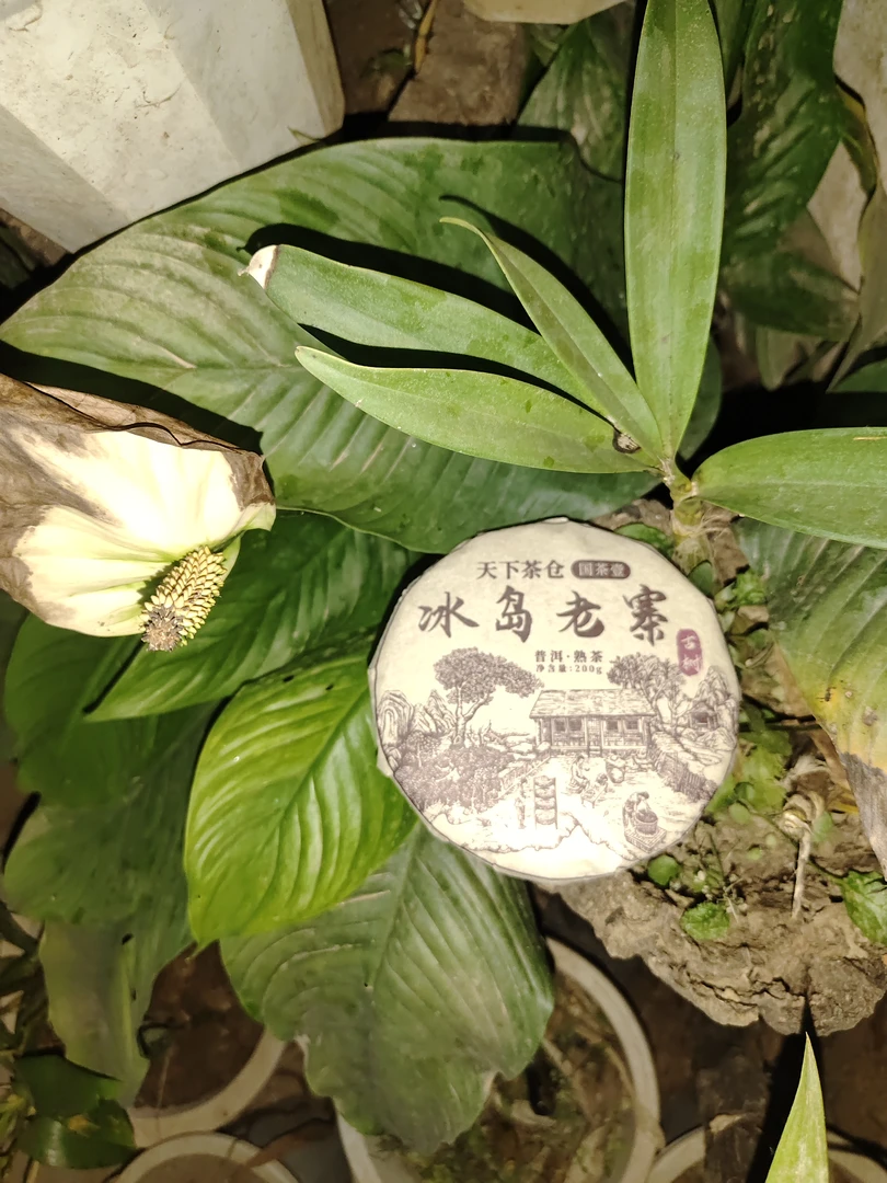 2018年冰岛老寨 天下茶仓 国茶 1(熟)古树普洱熟茶饼200克T15号