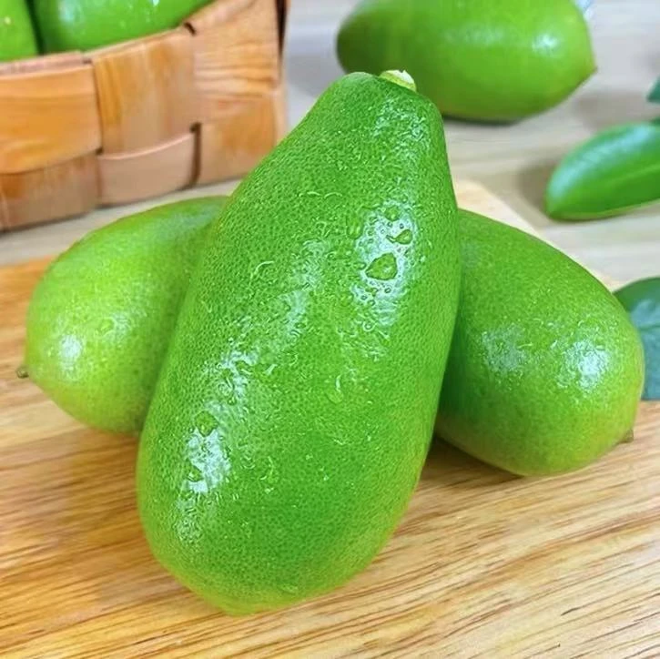 组合装【柠檬百香果茶鲜果原料】无籽香水柠檬+黄金百香果皱皮更甜