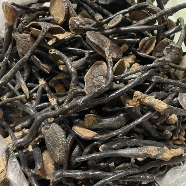 李李山货     竹&淋€支     非香菇