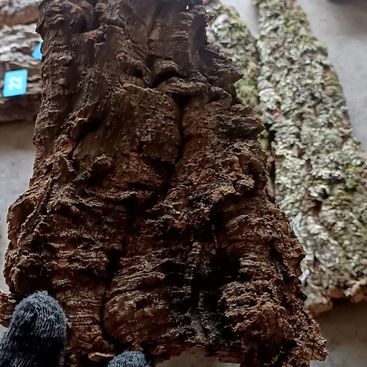 木一物一拍一物一发