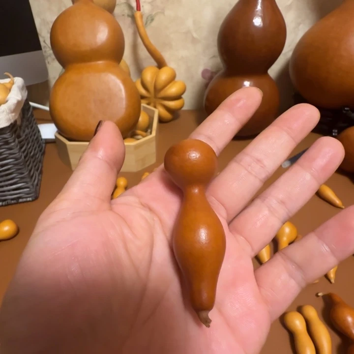 小***旭精品课程的教学和研究
