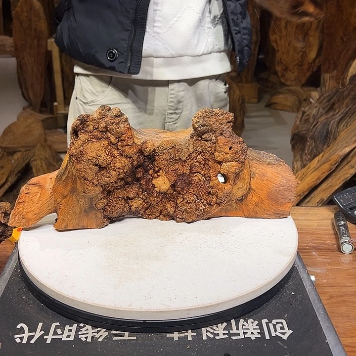 松木（琥珀木）平**淡