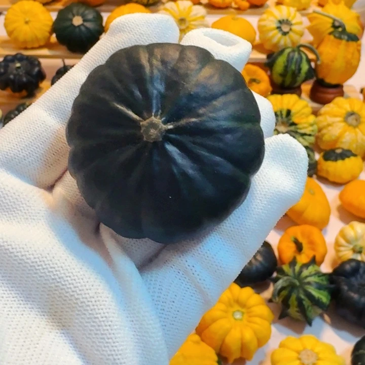 笑**云墨西哥七彩葫芦青皮