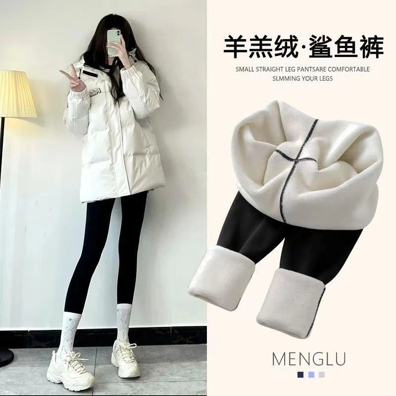 羊羔绒鲨鱼裤新款加绒加厚保暖裤秋冬季高腰显瘦外穿芭比裤Y