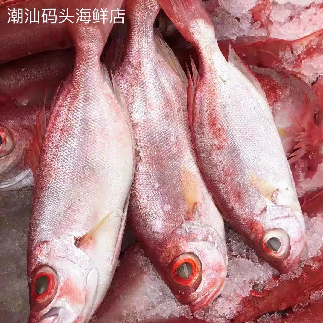 神泉本港红目鲢5斤广东包邮，帮杀好一包八两发5包