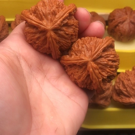 高***6核桃核桃核桃核桃厚薄