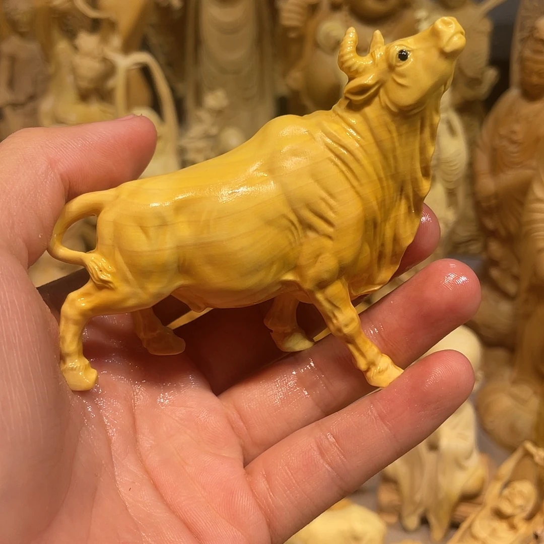 黄杨木黄杨木抬头牛