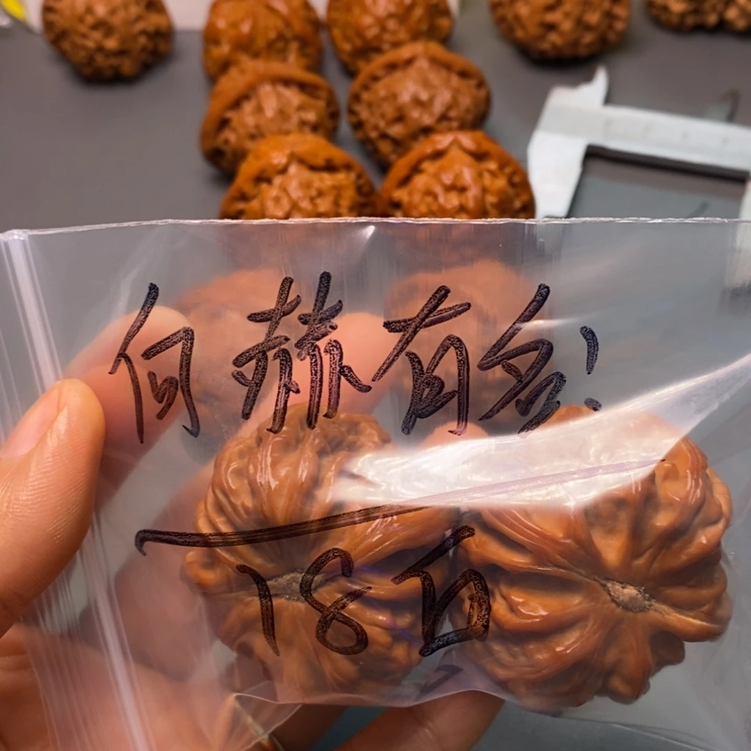 桃核吊坠何**名白狮子福利