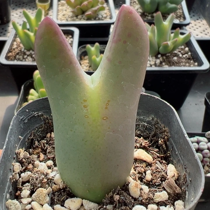 193号11111111111111