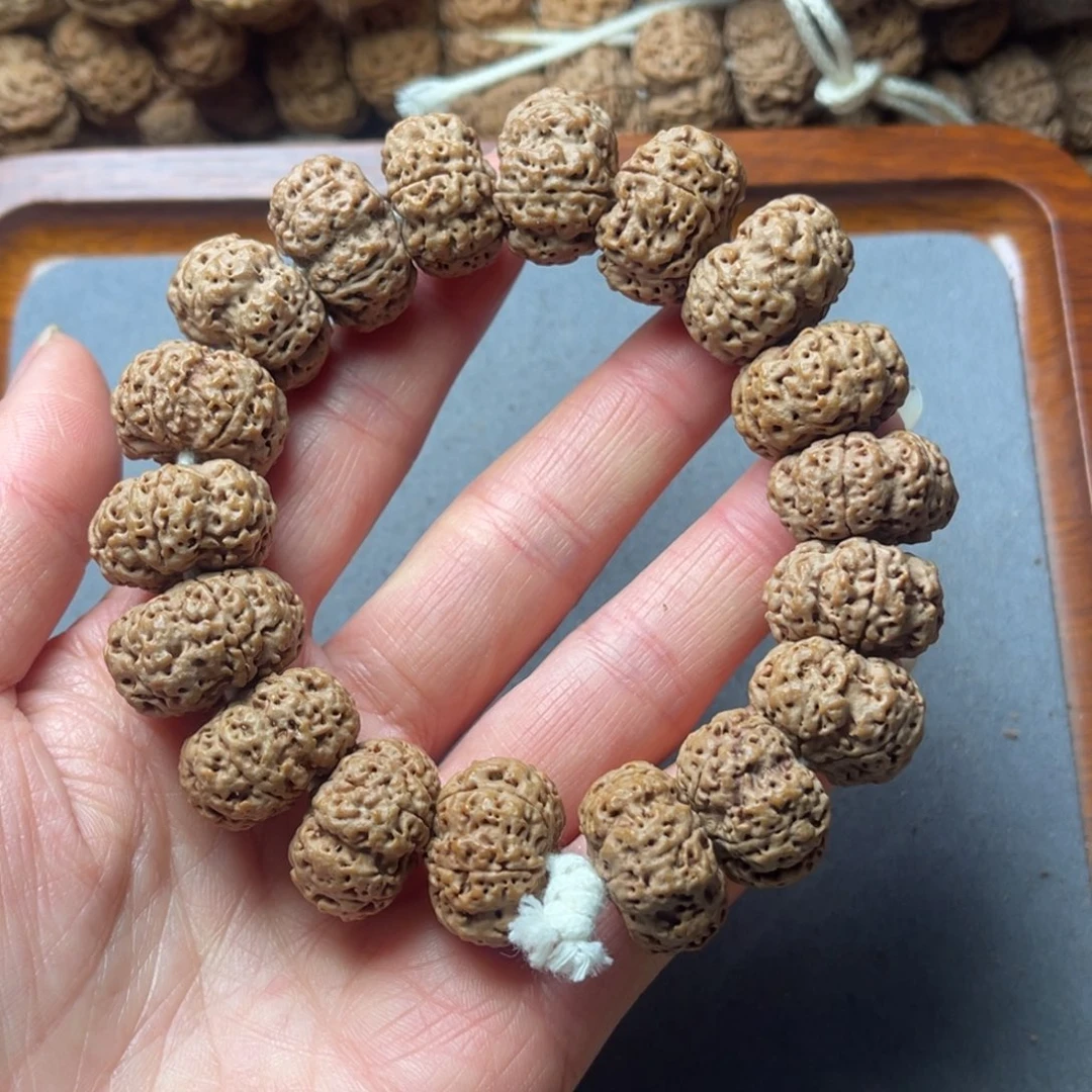 菩提籽类11号金刚菩提夹板20