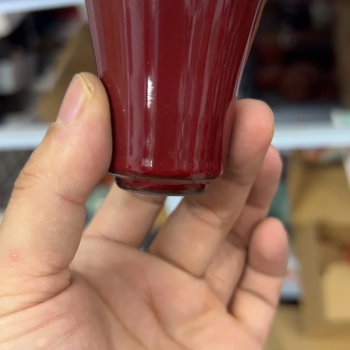 你555555555555555555