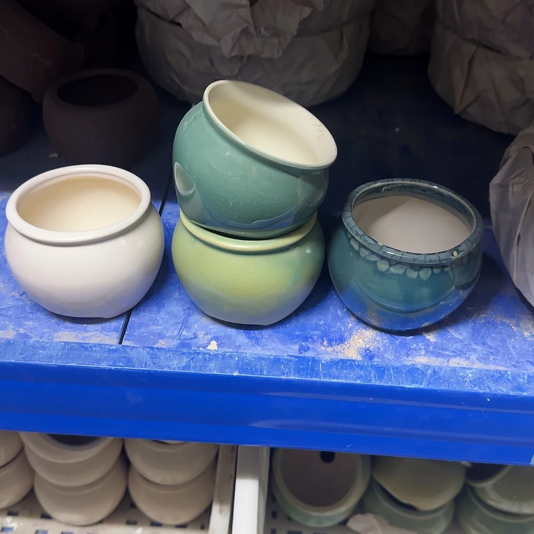 4个福利局绿植多肉盆［凑9元包邮24小时发］