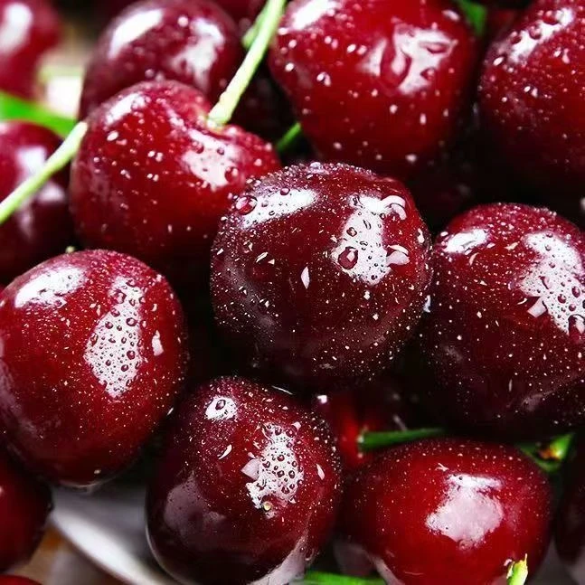 【五斤原箱】智利空运新鲜桑提娜车厘子2JD-3JD包邮内附果径卡2500g桑提娜樱桃智利共和国