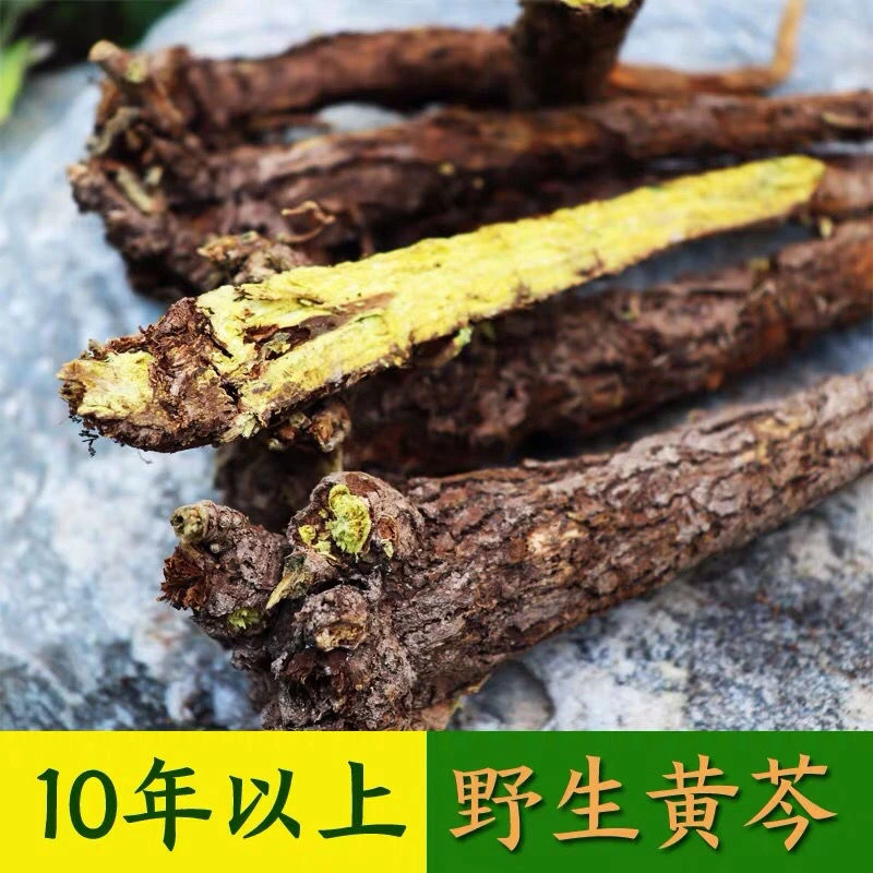 甘肃深山原产整棵枯黄芩无硫熏，无添加250～500克包邮