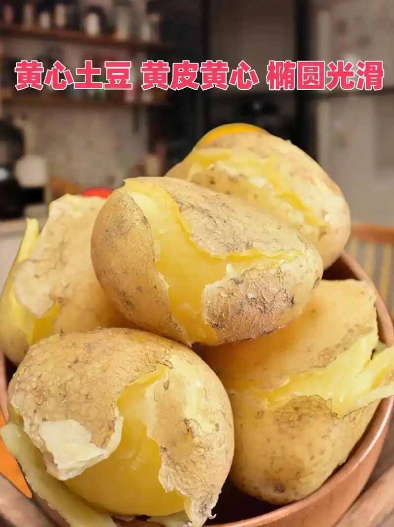 【阿辉专属】云南新鲜现挖黄皮黄心土豆粉面蒸煮炒菜