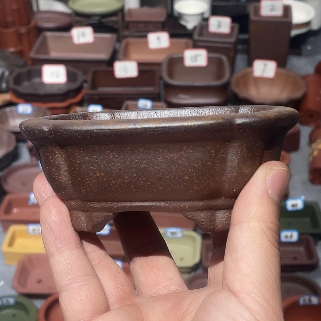紫砂紫砂小盆9.5*7.4*3
