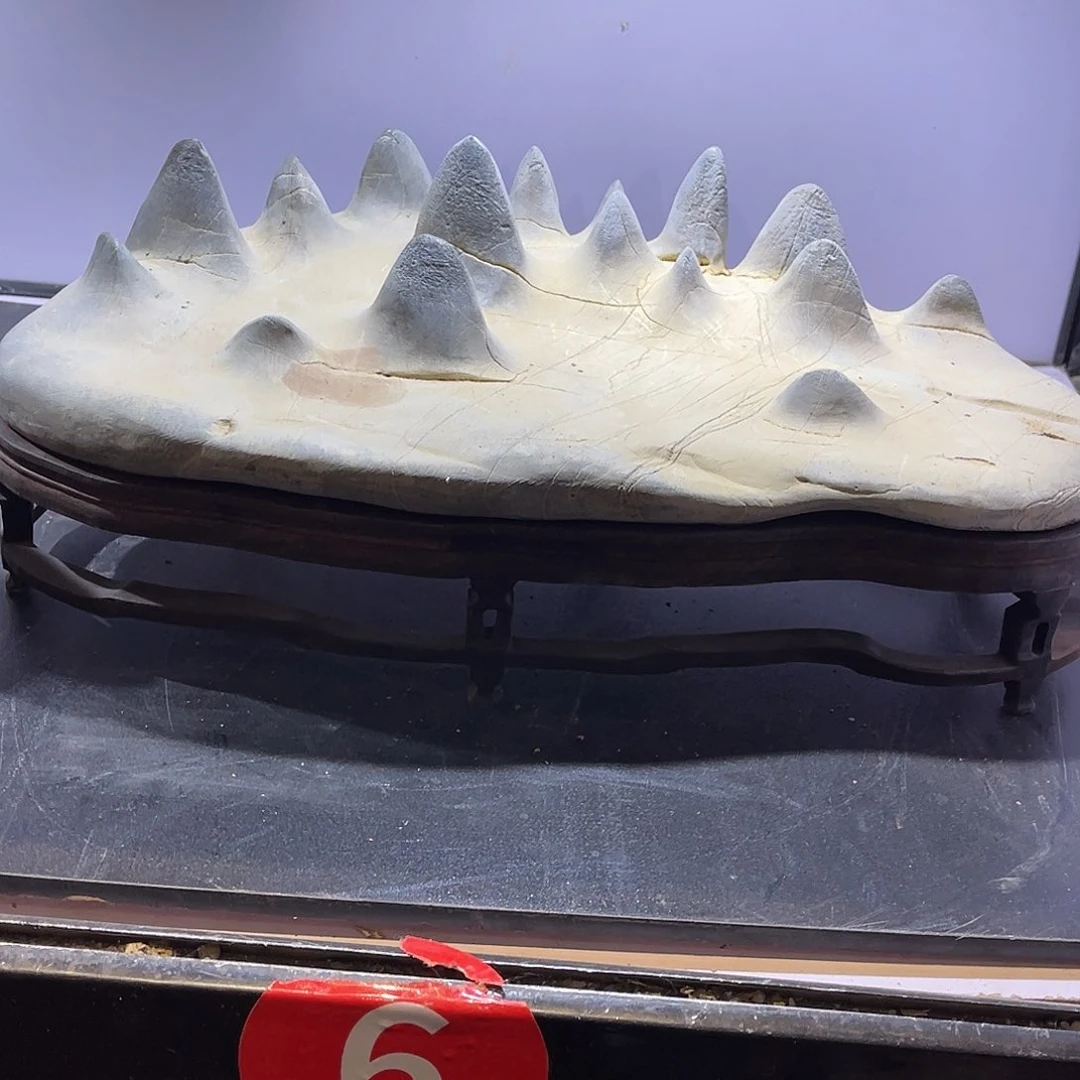 紫砂偏远地区不包邮阳***d