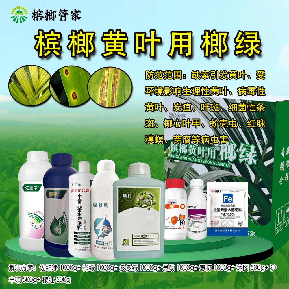 【榔绿绿叶至尊版】叶黄叶薄转绿快速抽芯管椰心叶甲蚧壳虫红脉穗螟