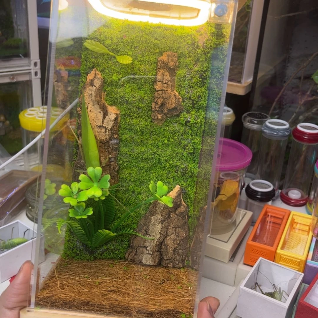 瓜***瓜素背加实木生态箱拍拍拍拍