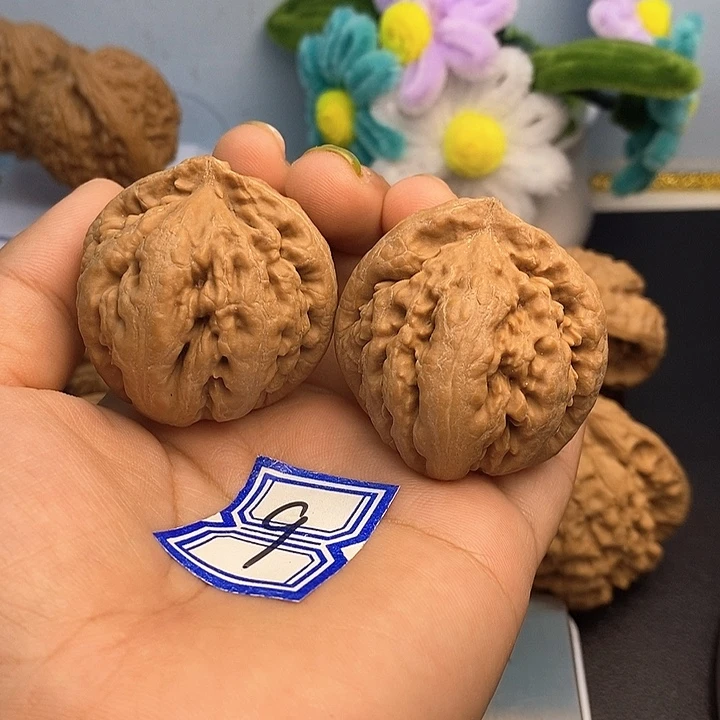 把件文玩核桃40霸王龙