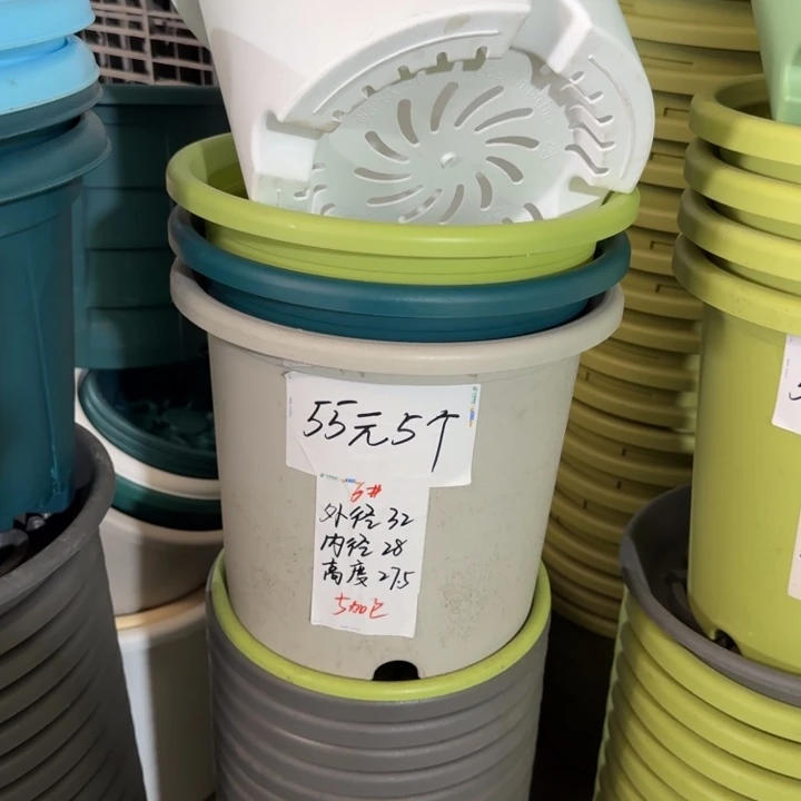 四季6#口径32高27无托果绿5个