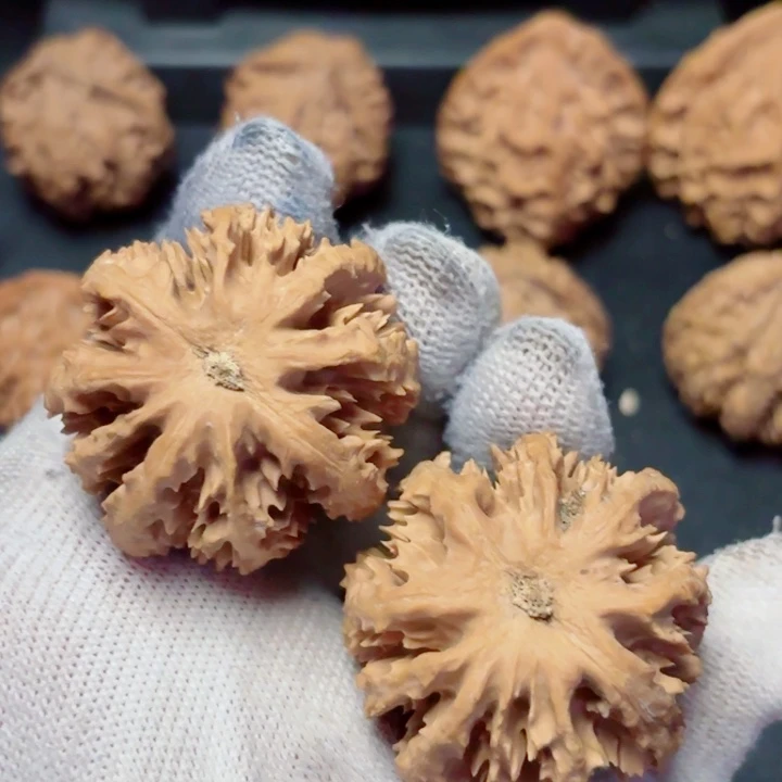 文玩核桃把件今**顺秦岭灯笼26