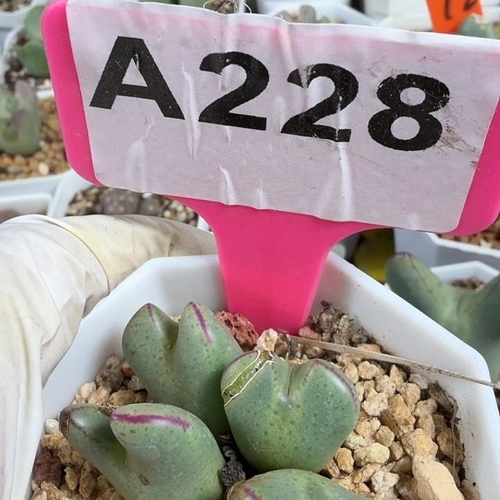 a***9228nnnnjnnnnnnnnnnnnnn