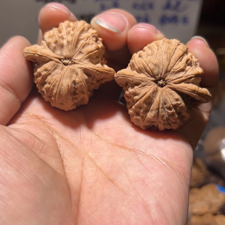 臭***总核桃精修血麒麟一对