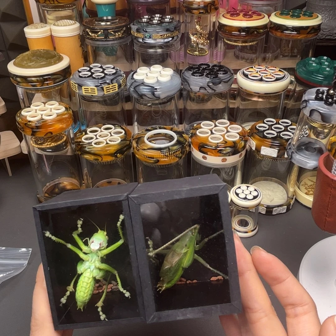 天津翡翠绿蝈蝈一个