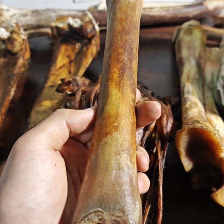 LJ驼骨驼骨驼骨驼骨驼骨驼骨驼骨驼骨