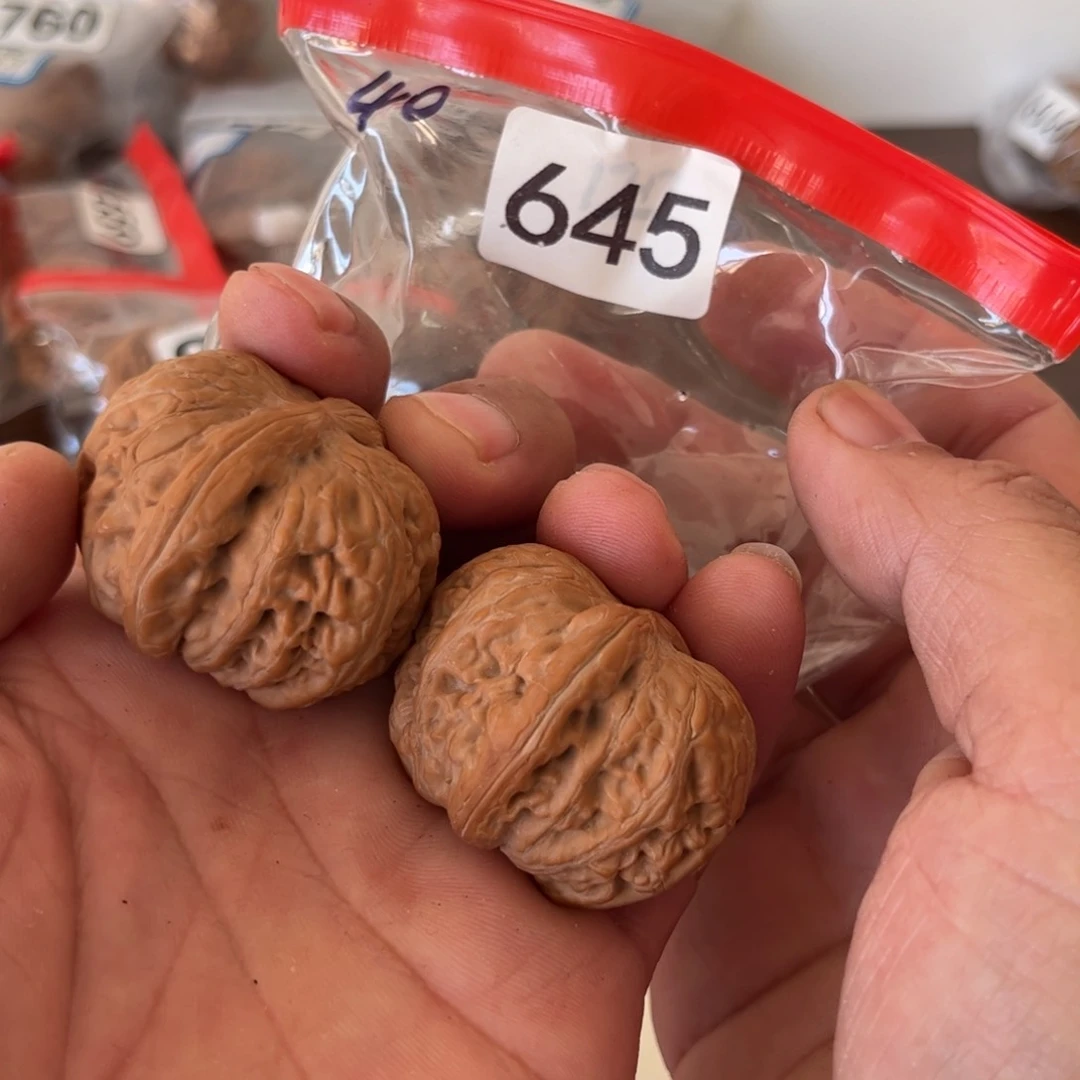 吊坠文玩核桃元宝38