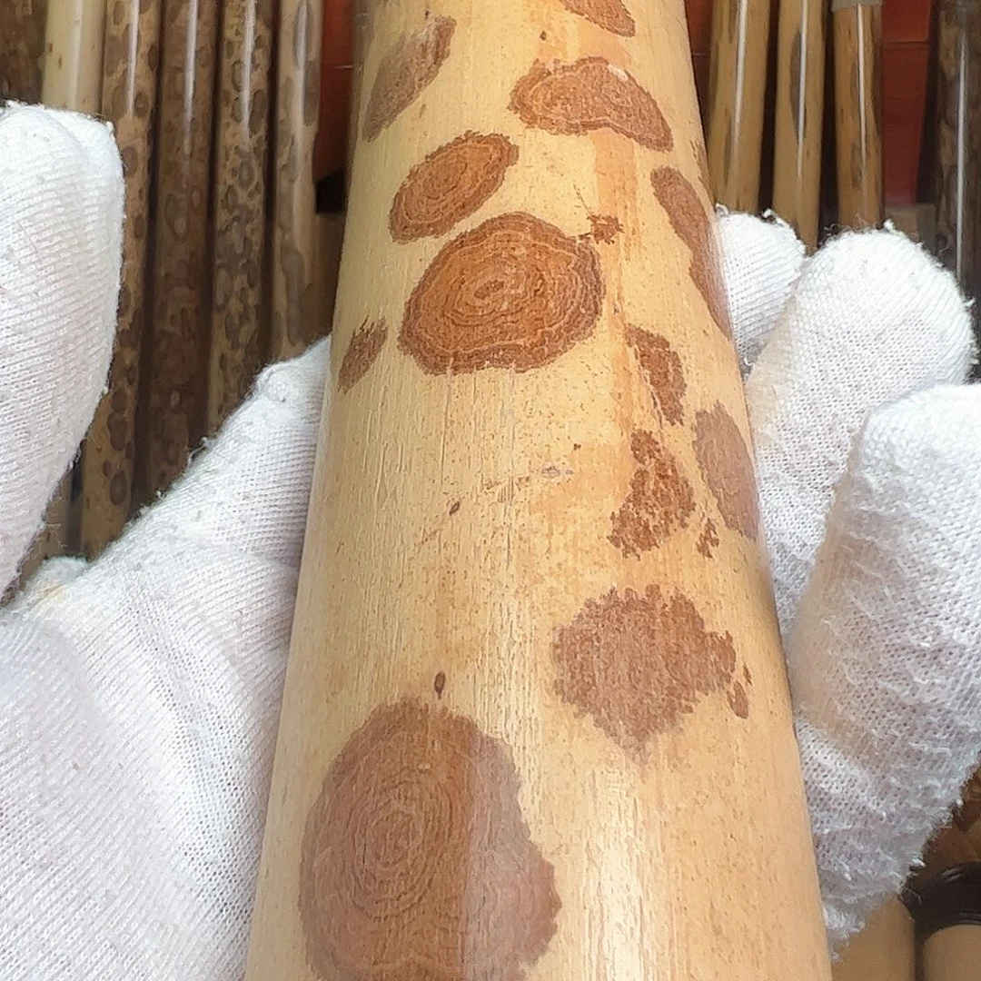 扇子谦**德麻栗坡老云妃茶则一片