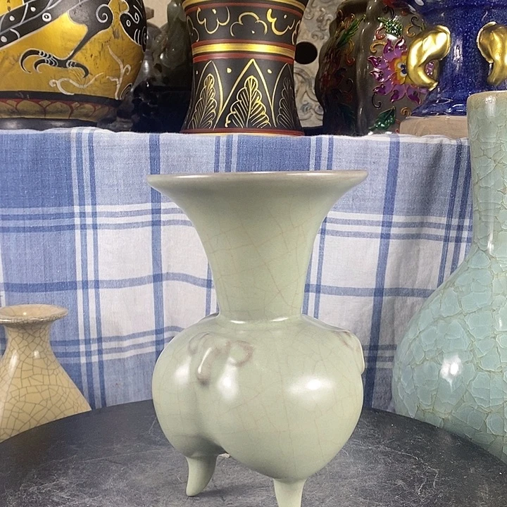 陶泽如花儿盛开了