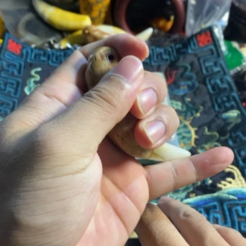 寻呼台的人也太少见啦