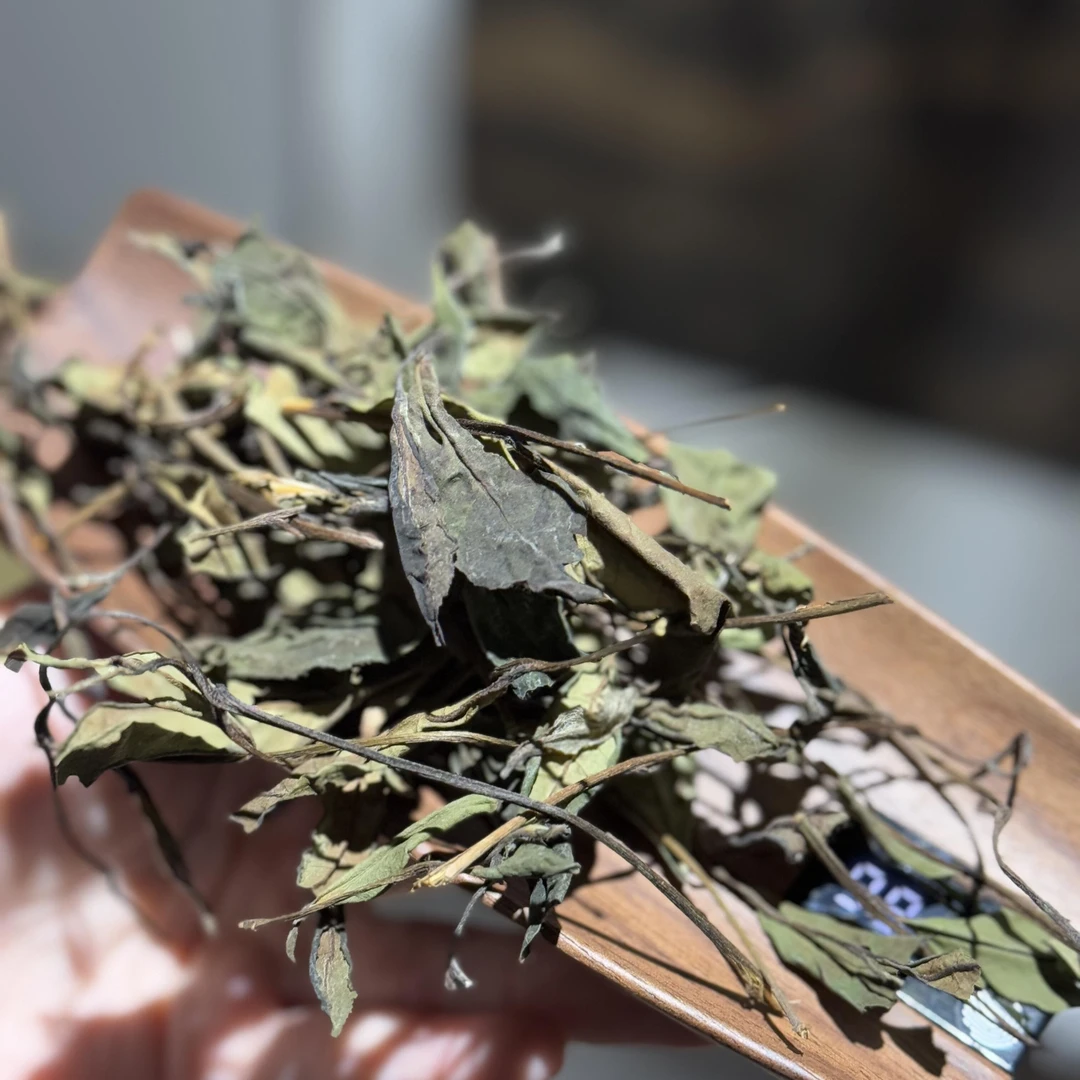 2019竹林野茶︱竹韵野韵落水 高香冰糖甜