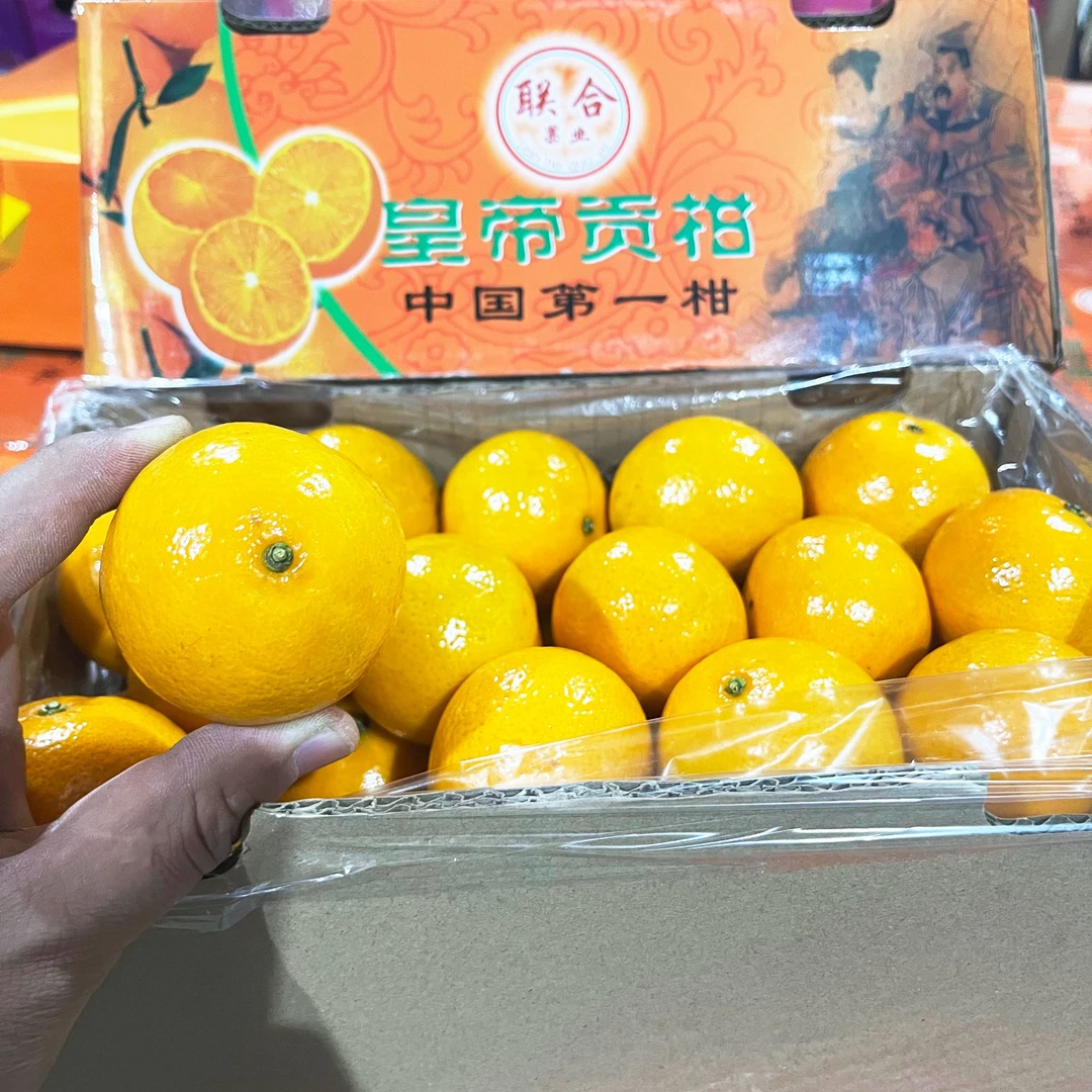 【原箱】【好吃的贡柑】(带箱7斤左右)【Z】