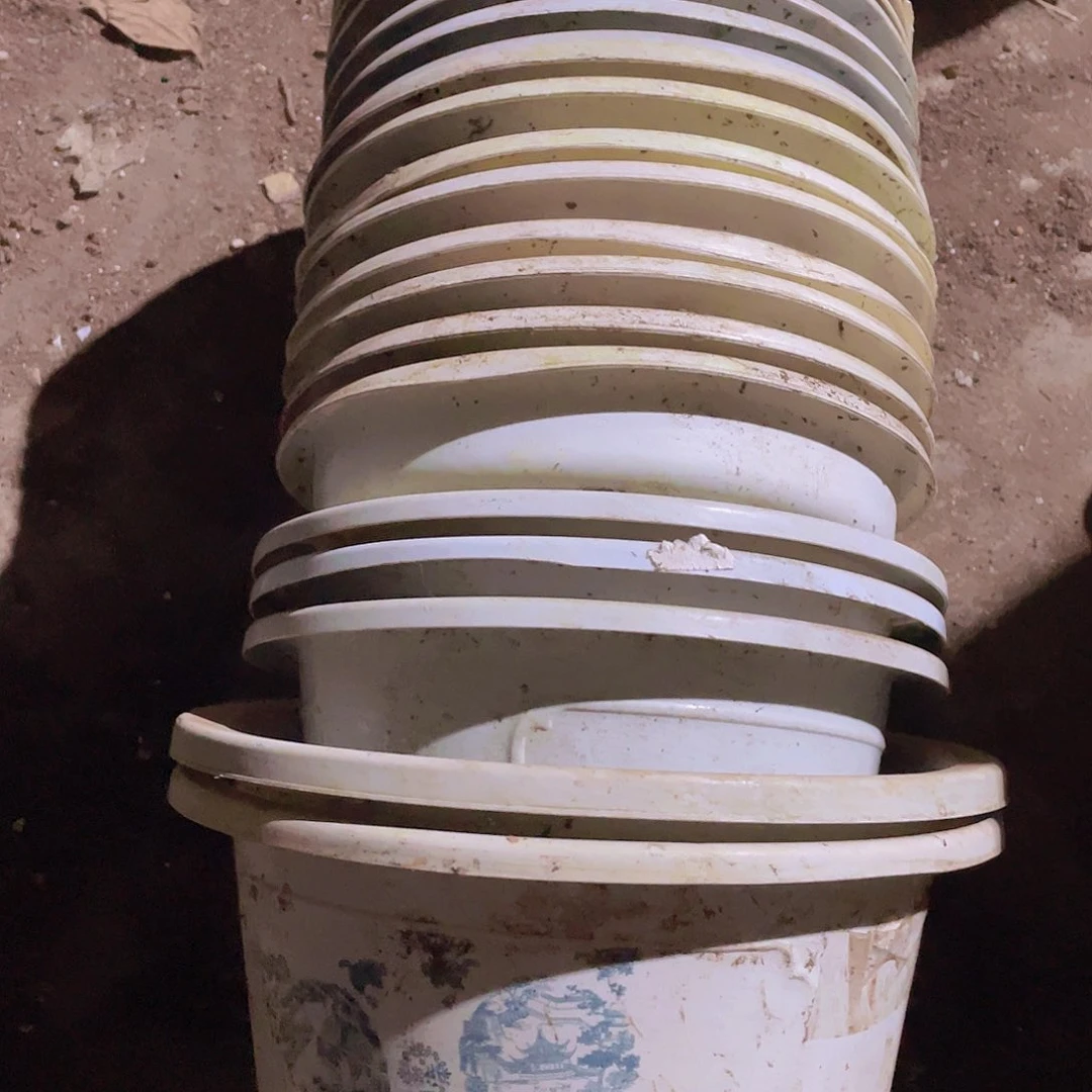 旧口径15-19白圆盆大小混21个