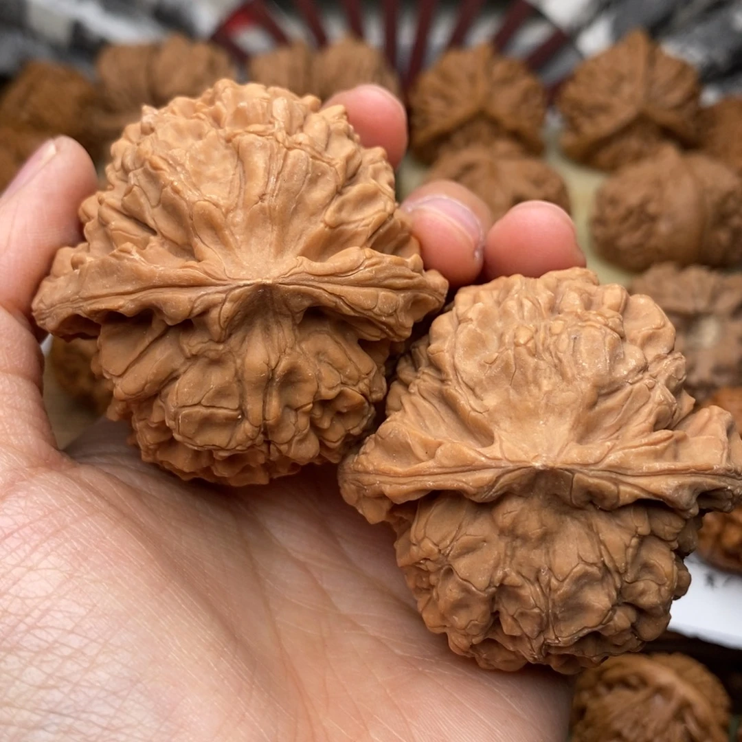 文玩核桃把件177号51.5全龙鼎