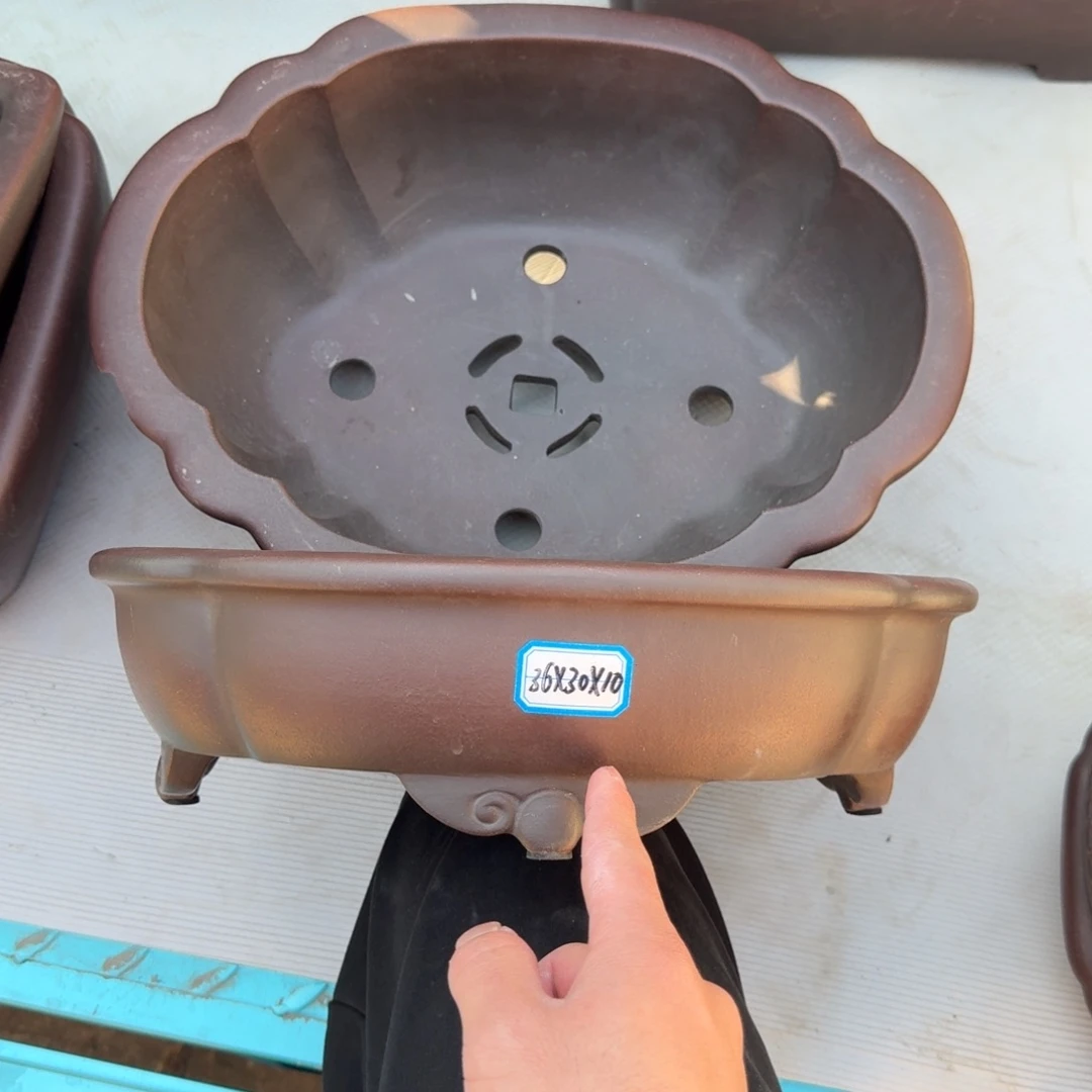 紫砂呜呜呜我的宝呜呜我好喜欢这个