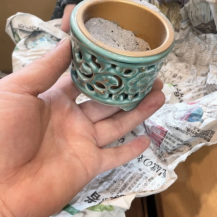 瓷片周*民给哈哈哈哈哈哈哈