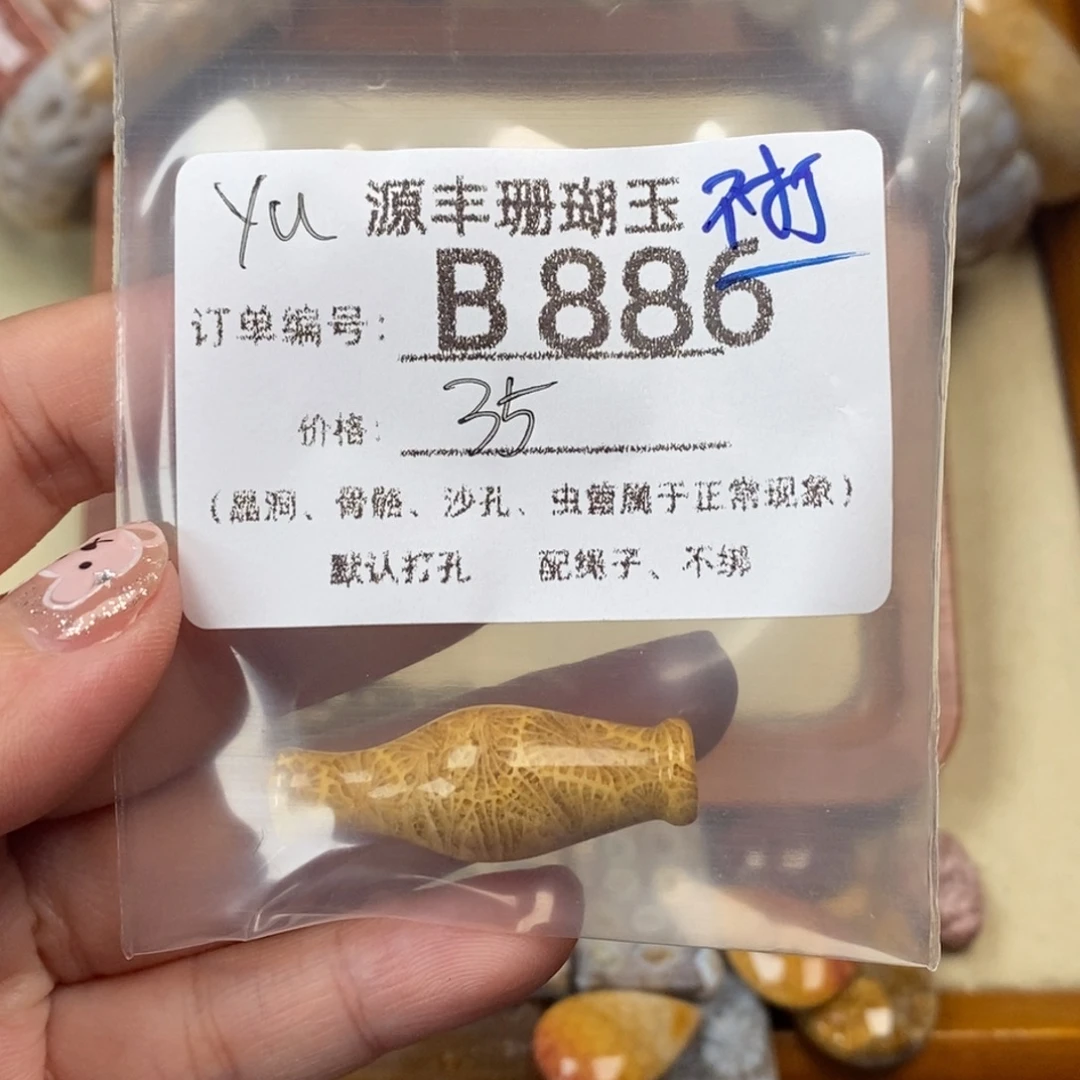 y***z未镶嵌颈饰硅化玉