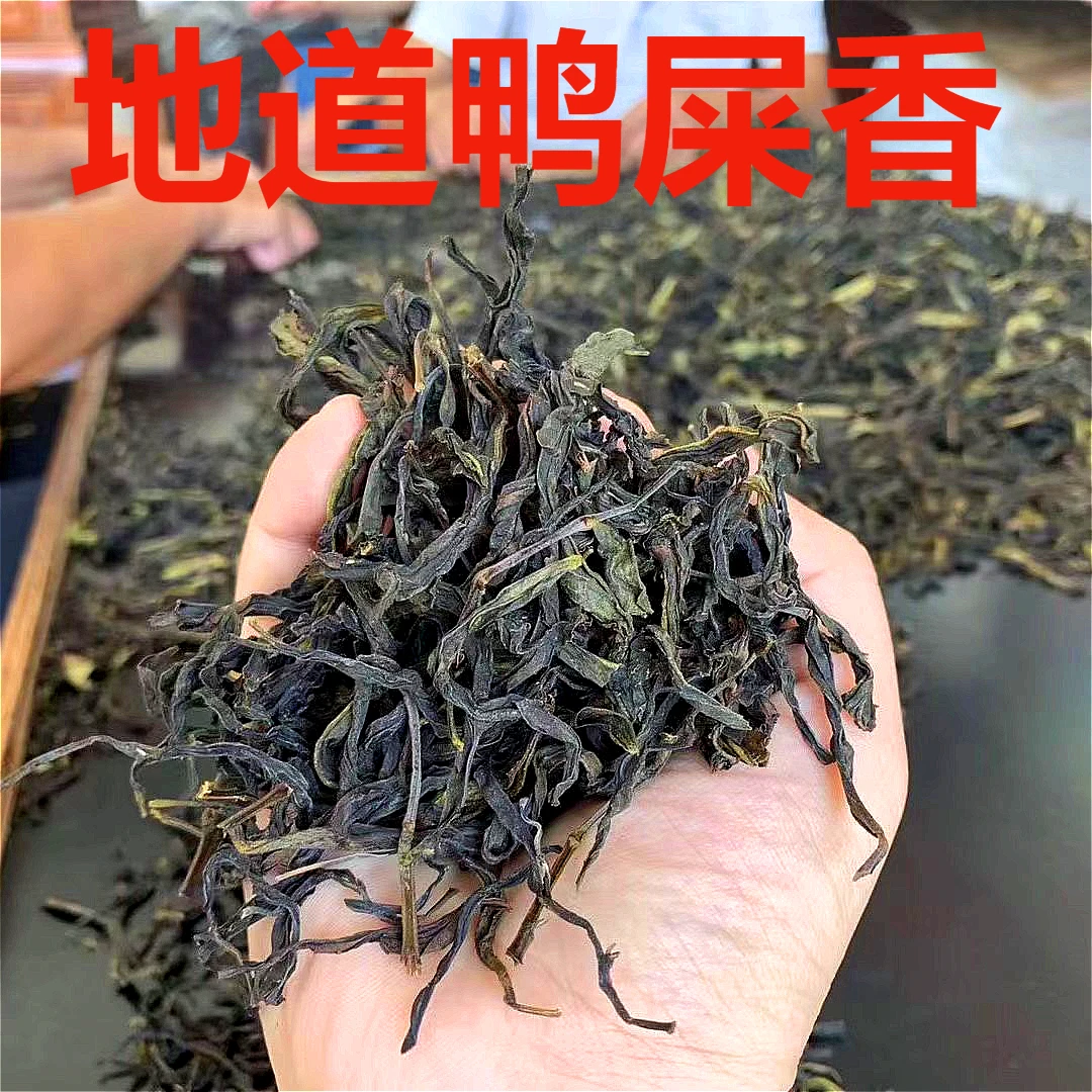 工厂直批A级鸭屎香凤凰单丛乌龙茶叶手工凤凰单枞柠檬茶奶茶原料