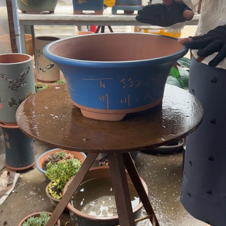 33蓝票口花盆花盆花盆花盆